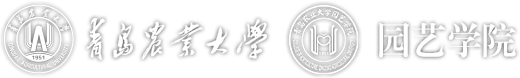 365英国上市